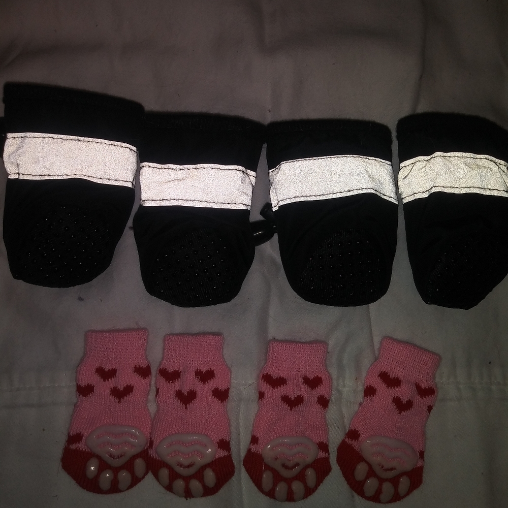 S/M Dog shoes/socks/clothes